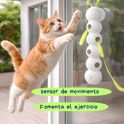 Caterpillar pet cat:El juguete que despierta su instinto