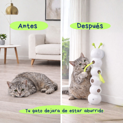 Caterpillar pet cat:El juguete que despierta su instinto